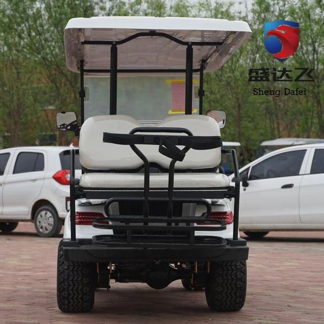 尔夫球车：高性价比重塑行业标杆澳门新葡京网站盛达飞四轮电动高(图2)