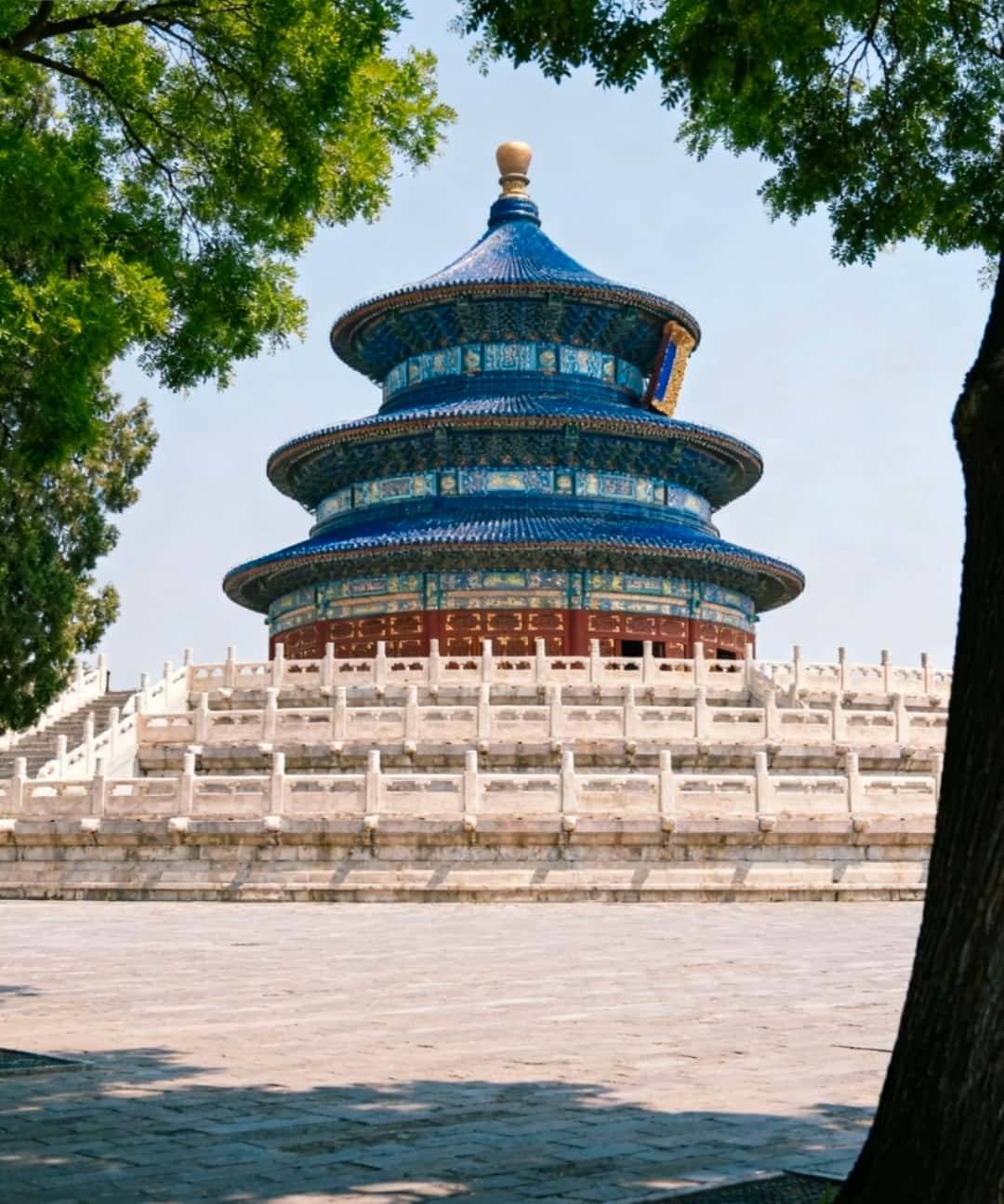 私人定制家庭聚会游 全家开心不留遗憾澳门新葡京app北京正规十大旅行社推荐(图2)